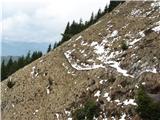 Draga-Preval-Roblekov dom-Polška pl.-Planinica-Draga Prečenje pod Begunščico